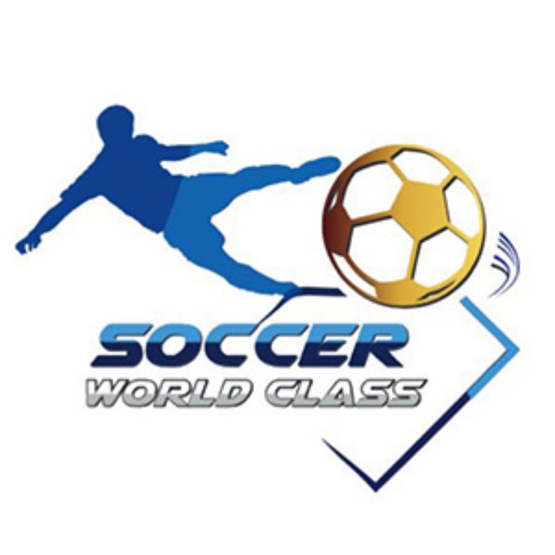 ลูกค้า สนามฟุตบอลหญ้าเทียม