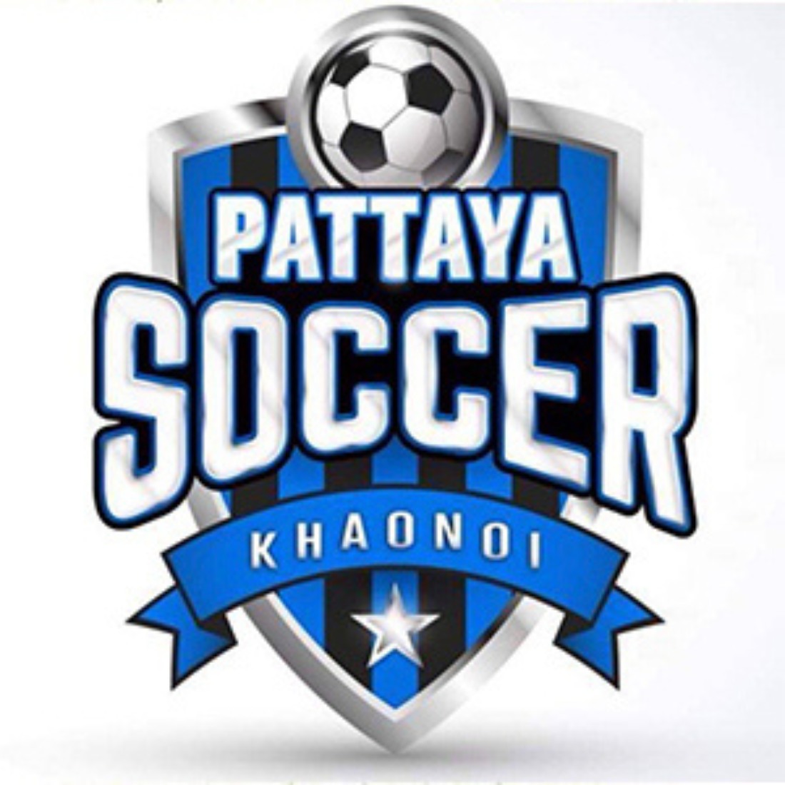 สนามหญ้าเทียมได้มาตรฐานฟีฟ่า