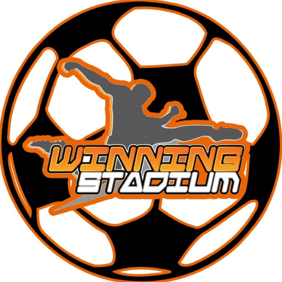 ลงทุนสนามฟุตบอลหญ้าเทียม