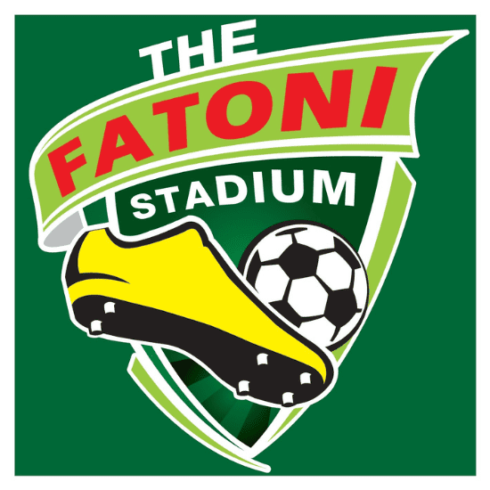 สนามบอลมาตรฐานฟีฟ่า